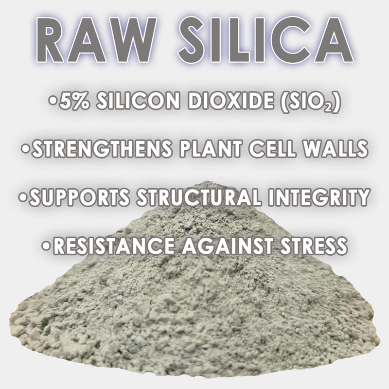 RAW Silica | 45% Silicon Dioxide | pH Neutral Biogenic Silica