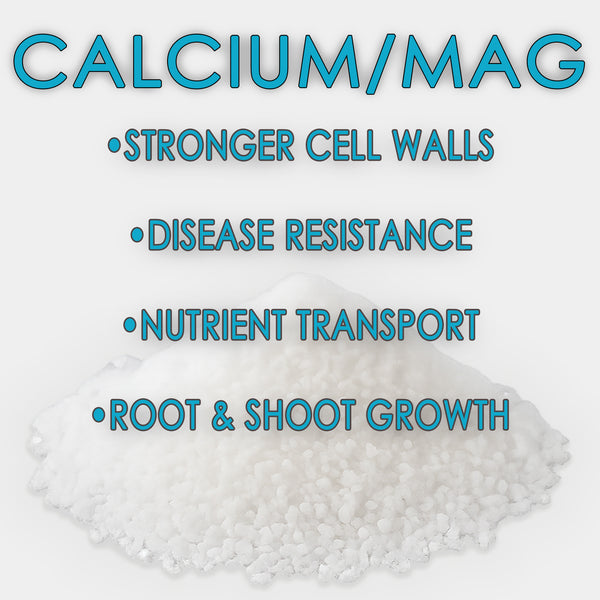 RAW Calcium/Mag | 15% Calcium + 3% Magnesium | Water-Soluble Supplement