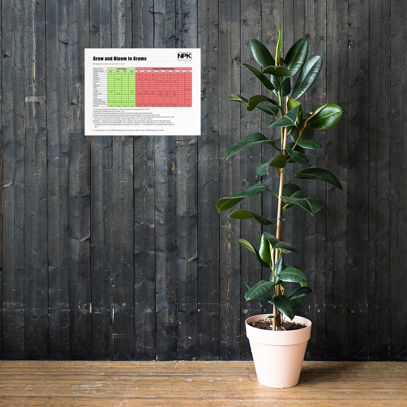 NPK RAW All-In-One Grow & Bloom Products Feeding Chart Grams Poster